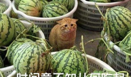 四川爆料吃瓜群,揭秘网络舆论背后的真相与争议